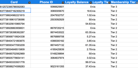 Screenshot 2025-02-28 at 11.17.13 AM
